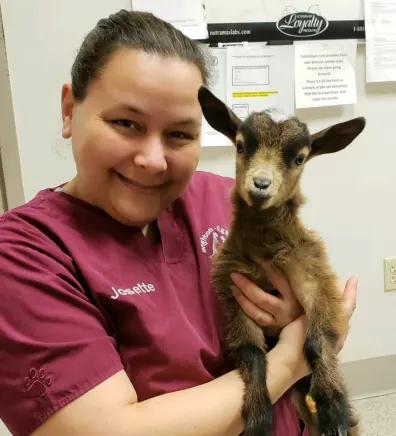 Josette Woronowicz - Veterinary Assistant at Brighton-Eggert Animal Clinic 